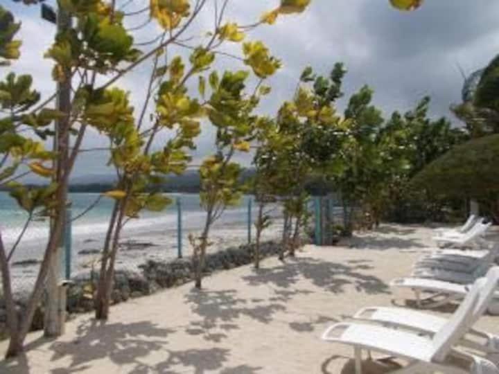 Villa @ The Palms - Ocho Rios Richmond Kültér fotó